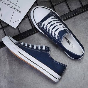Flat canvas shoes, Korean-style cut, product photo from the seller